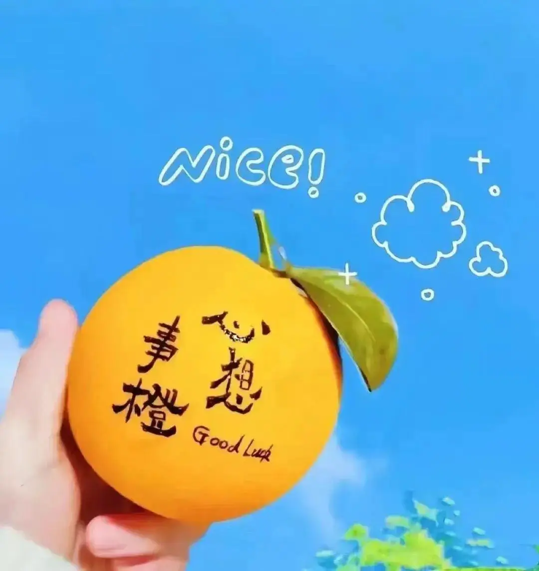 头像